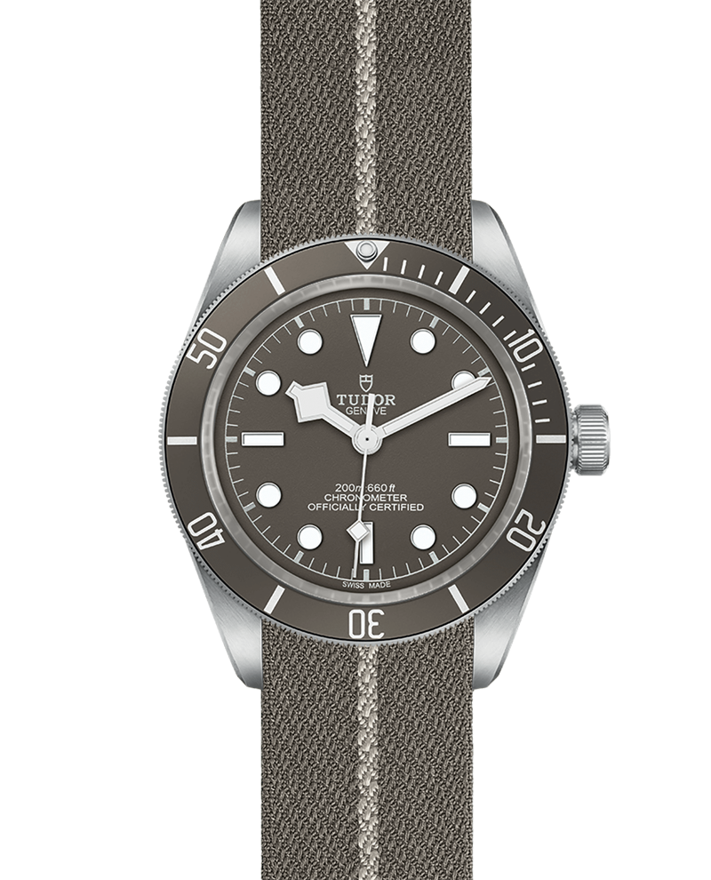 Black Bay 58 | 79010SG | Silver | M79010SG-0002 | Tudor Official Retailer - Siam Swiss