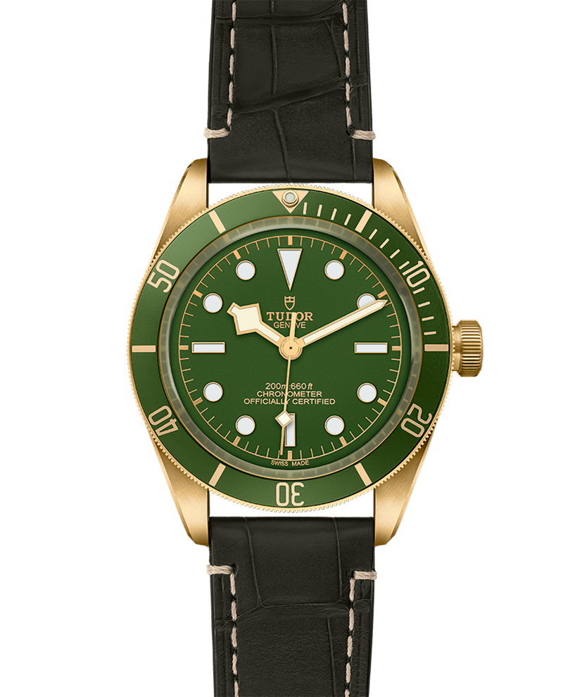 Black Bay 58 | 79018V | Gold | M79018V-0001 | Tudor Official Retailer - Siam Swiss