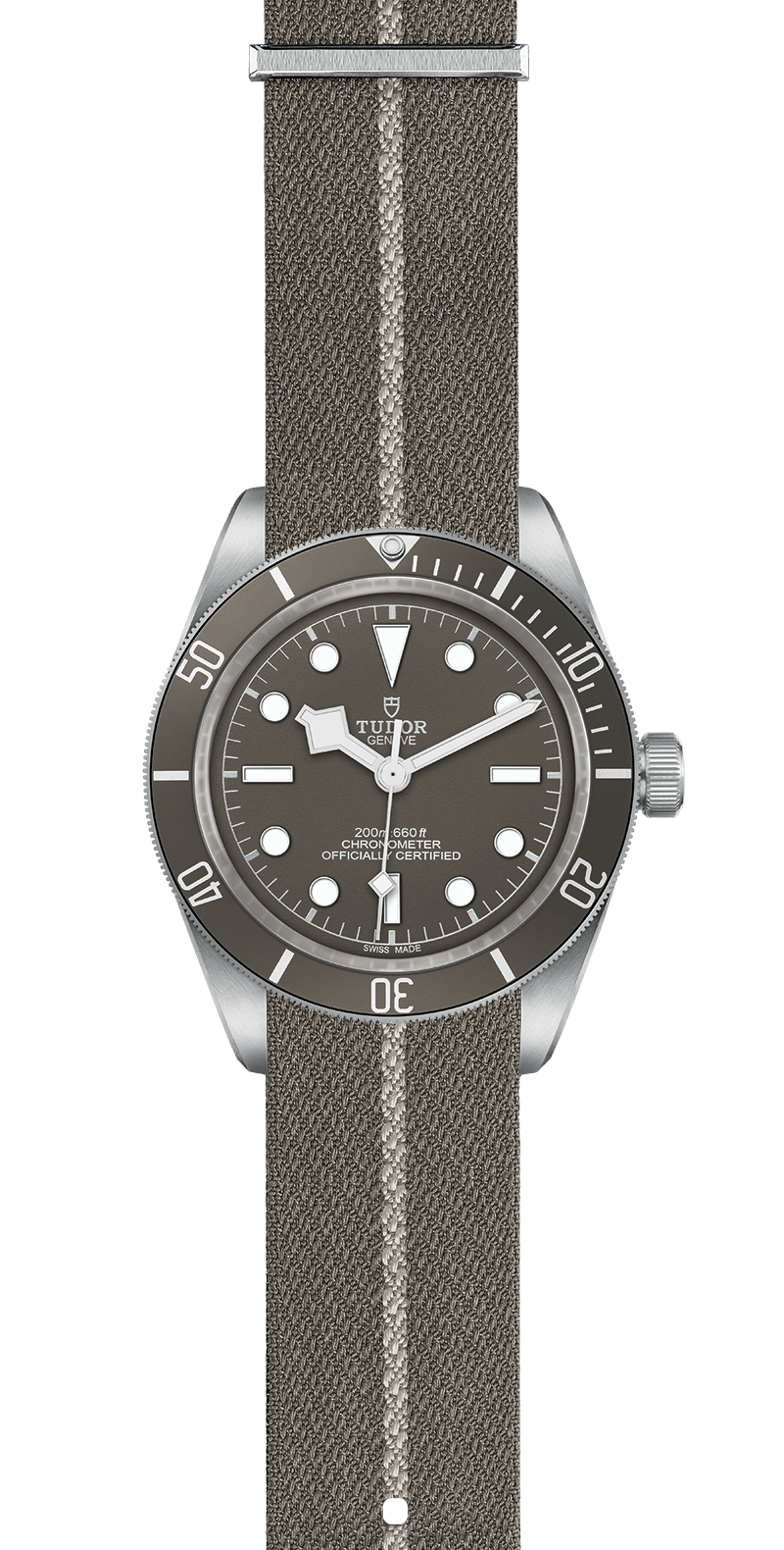 Black Bay 58 | 79010SG | Silver | M79010SG-0002 | Tudor Official Retailer - Siam Swiss