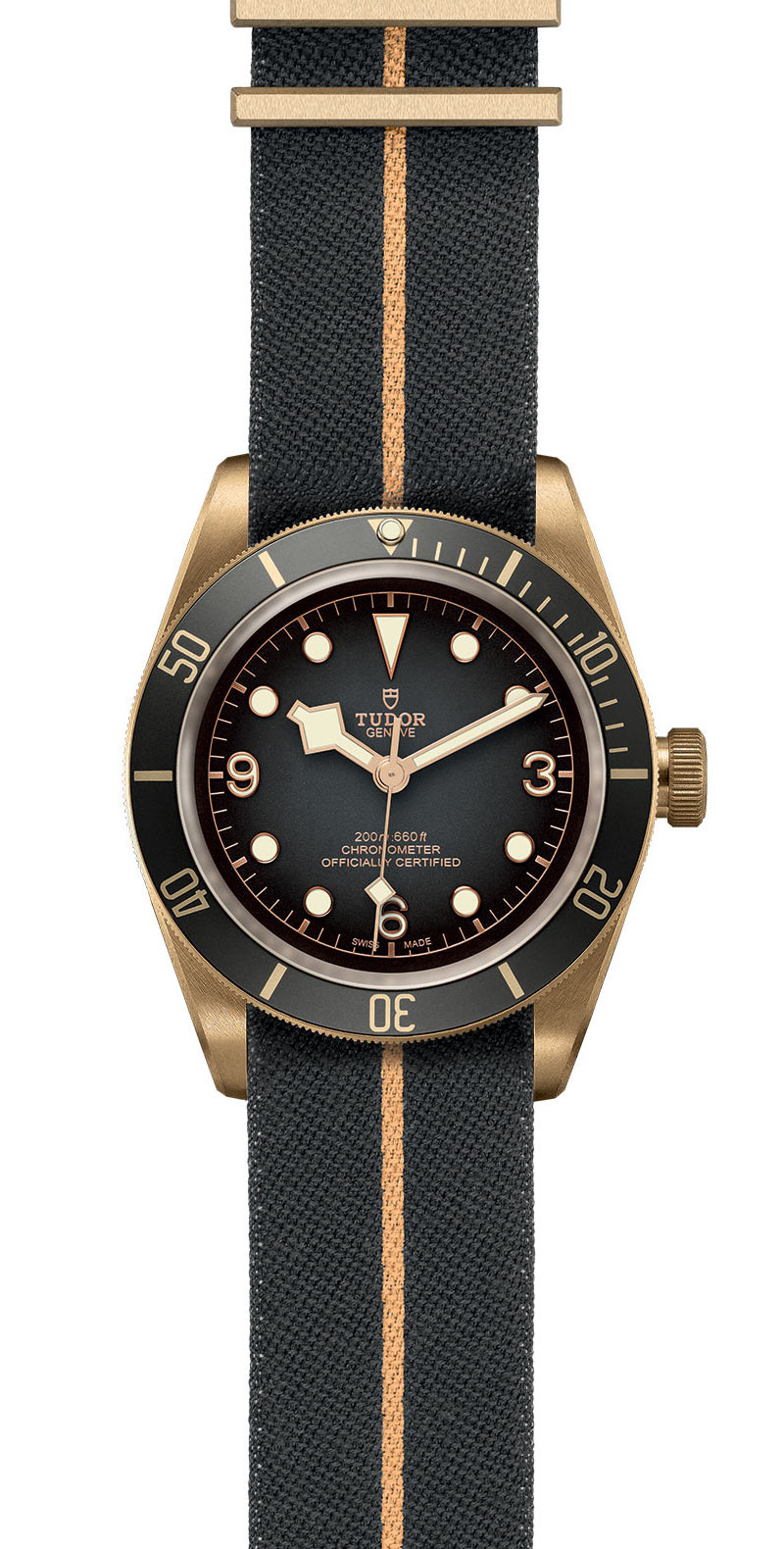 Black Bay Bronze | 79250BA | Bronze | M79250BA-0002 | Tudor Official Retailer - Siam Swiss