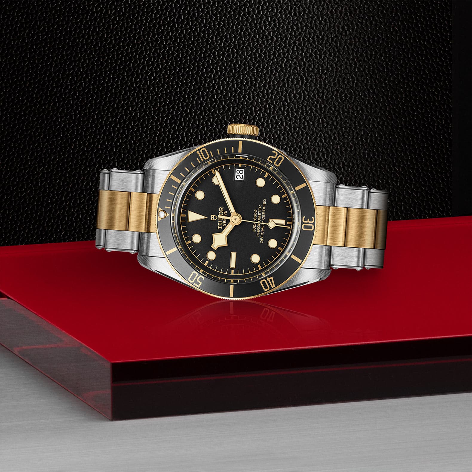 Black Bay S&G - M79733N-0008 | Tudor Siam Swiss