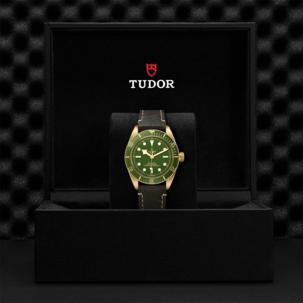 Black Bay 58 | 79018V | Gold | M79018V-0001 | Tudor Official Retailer - Siam Swiss