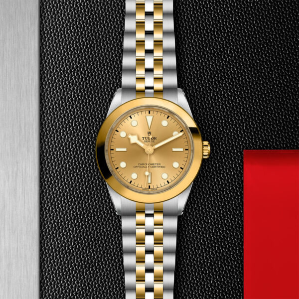 Black Bay One | 79663 | Steel and Gold | M79663-0005 | Tudor Official Retailer - Siam Swiss