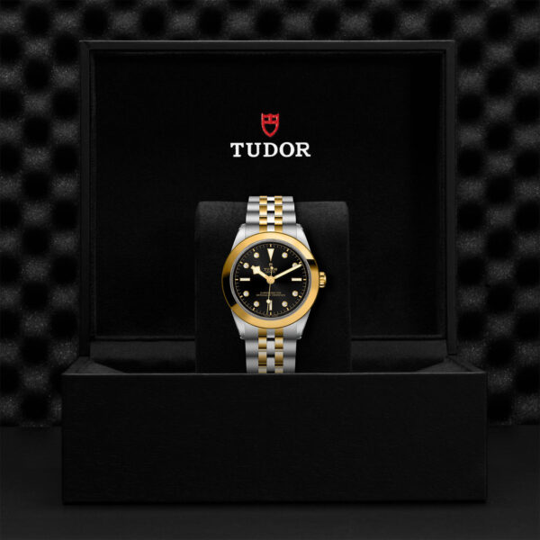 Black Bay One | 79663 | Steel and Gold | M79663-0006 | Tudor Official Retailer - Siam Swiss