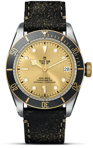 Black Bay | 79733N | Steel and Gold | M79733N-0003 | Tudor Official Retailer - Siam Swiss
