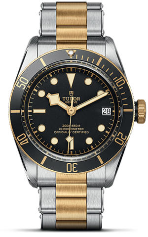Black Bay | 79733N | Steel and Gold | M79733N-0008 | Tudor Official Retailer - Siam Swiss