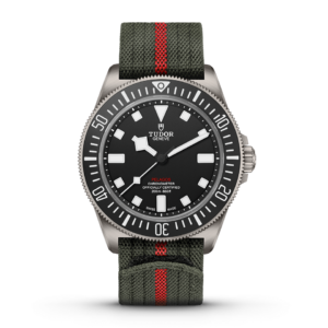Pelagos FXD | 25717N | Titanium | M25717N-0001 | Tudor Official Retailer - Siam Swiss
