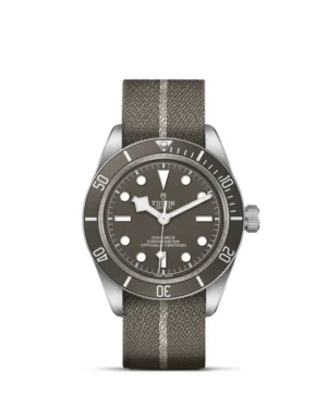 Black Bay 58 | 79010SG | Silver | M79010SG-0002 | Tudor Official Retailer - Siam Swiss