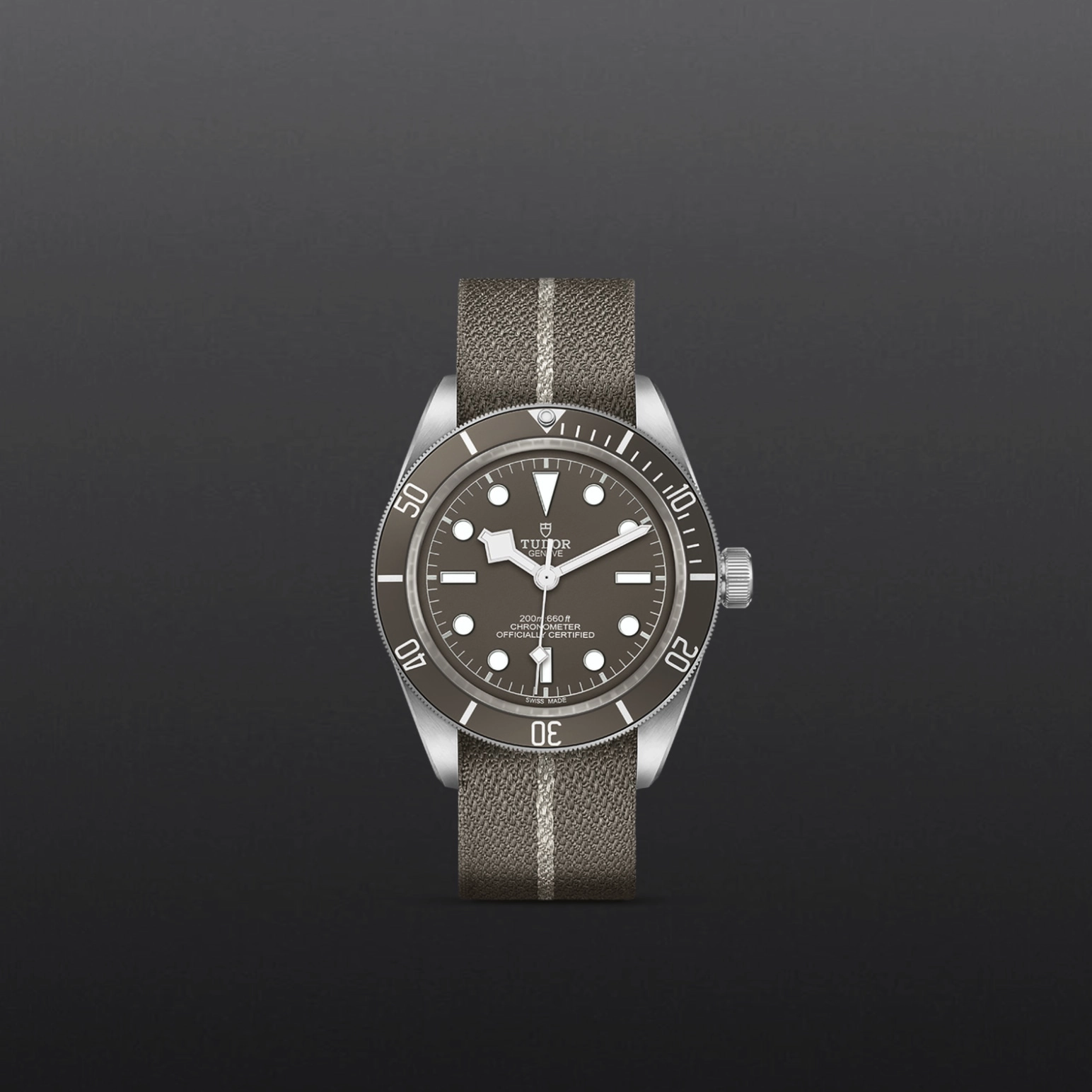 Black Bay | 79010SG | Silver | M79010SG-0002 | Tudor Official Retailer - Siam Swiss