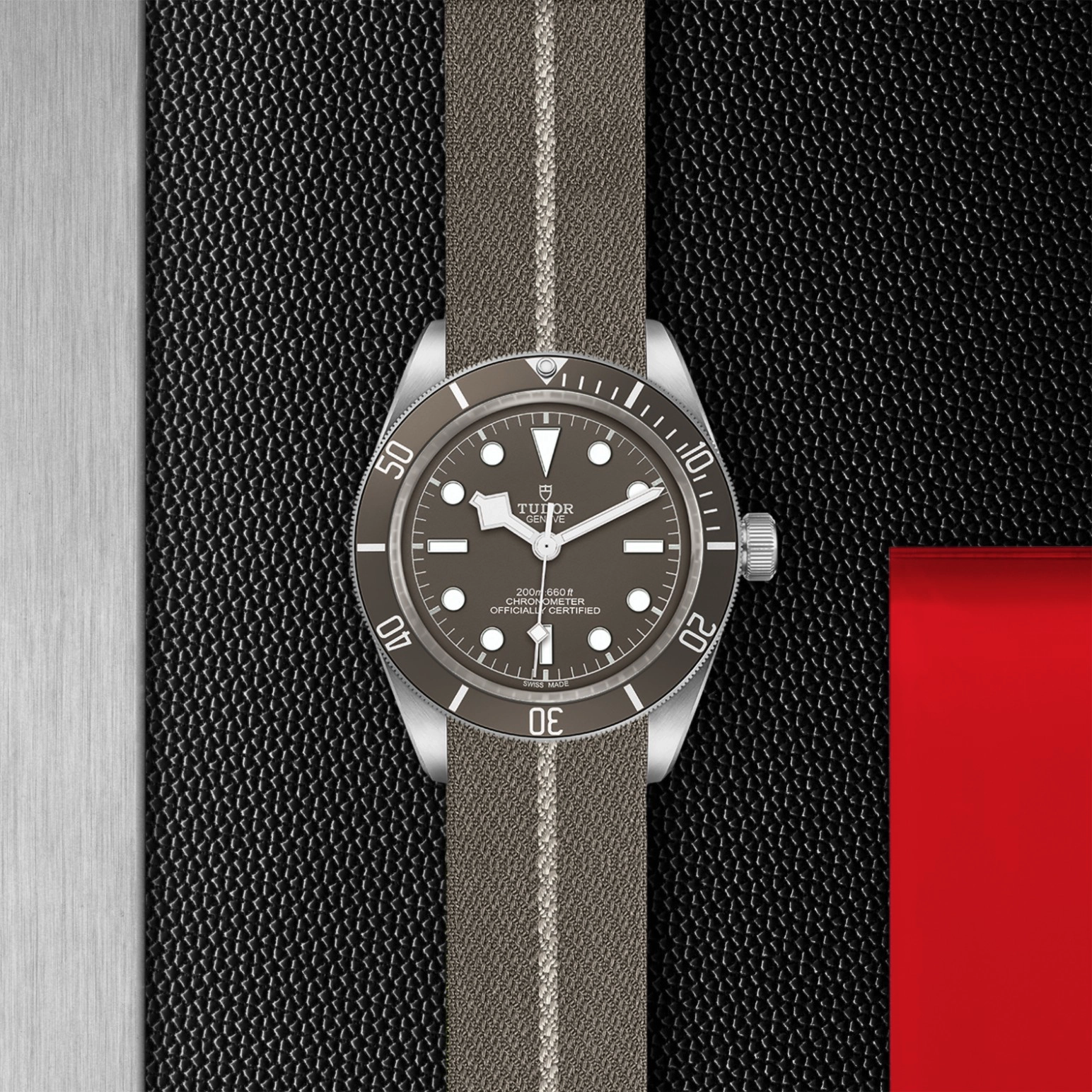 Black Bay | 79010SG | Silver | M79010SG-0002 | Tudor Official Retailer - Siam Swiss