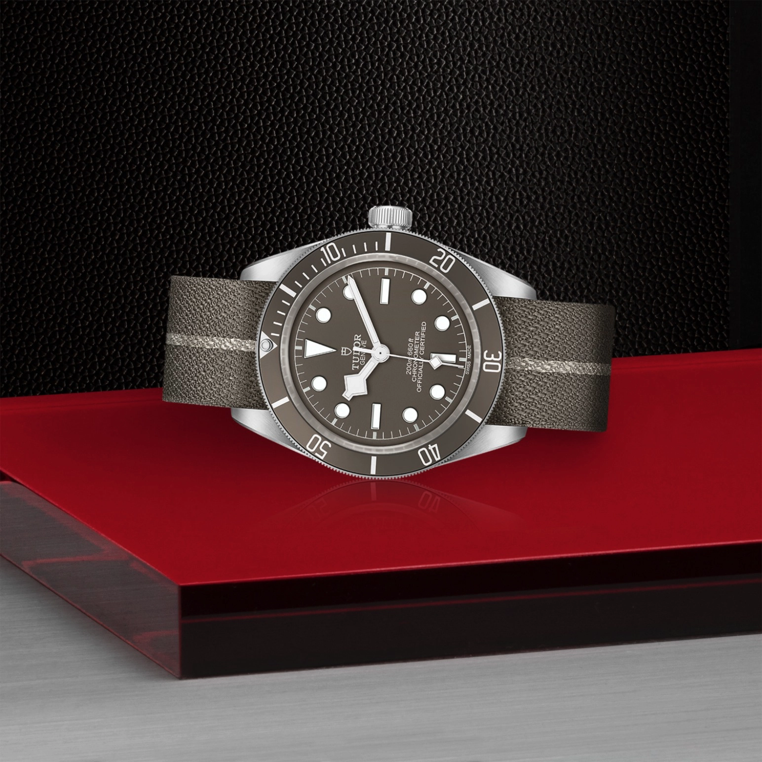 Black Bay | 79010SG | Silver | M79010SG-0002 | Tudor Official Retailer - Siam Swiss