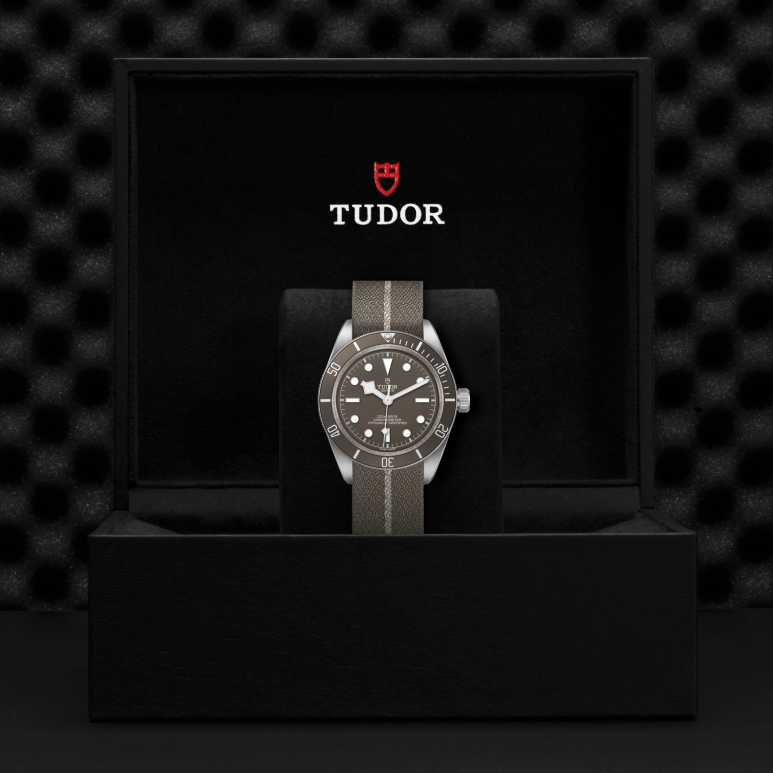 Black Bay | 79010SG | Silver | M79010SG-0002 | Tudor Official Retailer - Siam Swiss