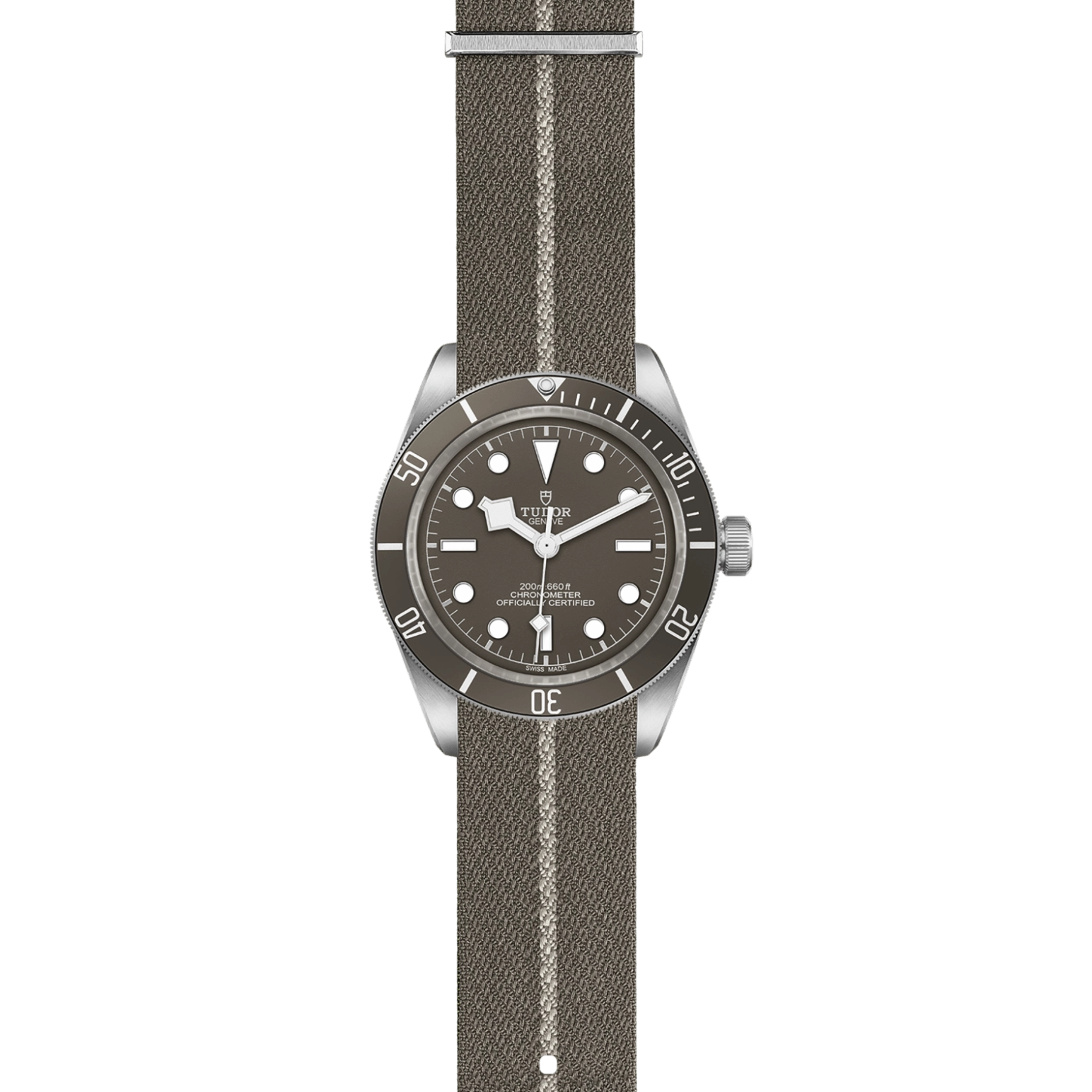 Black Bay | 79010SG | Silver | M79010SG-0002 | Tudor Official Retailer - Siam Swiss