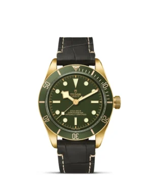 Black Bay 58 | 79018V | Gold | M79018V-0001 | Tudor Official Retailer - Siam Swiss