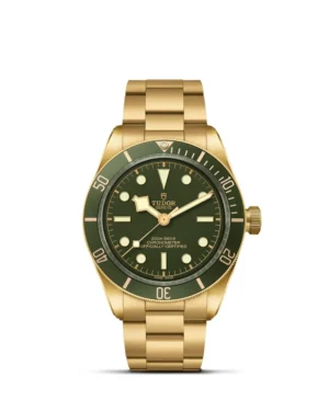 Black Bay 58 | 79018V | Gold | M79018V-0006 | Tudor Official Retailer - Siam Swiss