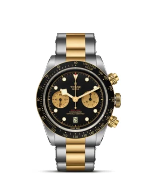 Black Bay | 79363N | Steel and Gold | M79363N-0001 | Tudor Official Retailer - Siam Swiss