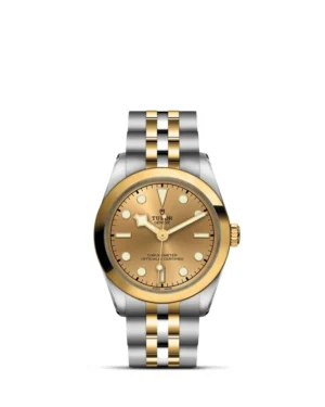 Black Bay | 79603 | Steel and Gold | M79603-0005 | Tudor Official Retailer - Siam Swiss