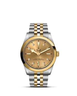 Black Bay | 79643 | Steel and Gold | M79643-0008 | Tudor Official Retailer - Siam Swiss