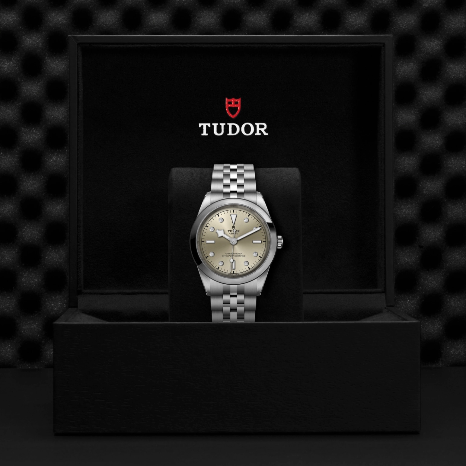 Black Bay | 79680 | Steel | M79680-0006 | Tudor Official Retailer - Siam Swiss
