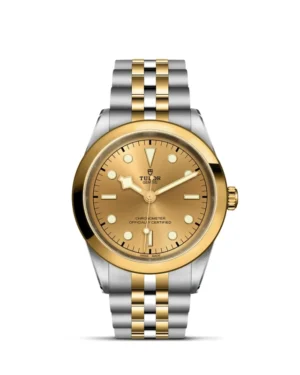 Black Bay | 79683 | Steel and Gold | M79683-0005 | Tudor Official Retailer - Siam Swiss
