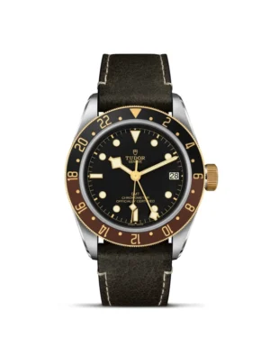 Black Bay | 79833MN | Steel and Gold | M79833MN-0003 | Tudor Official Retailer - Siam Swiss