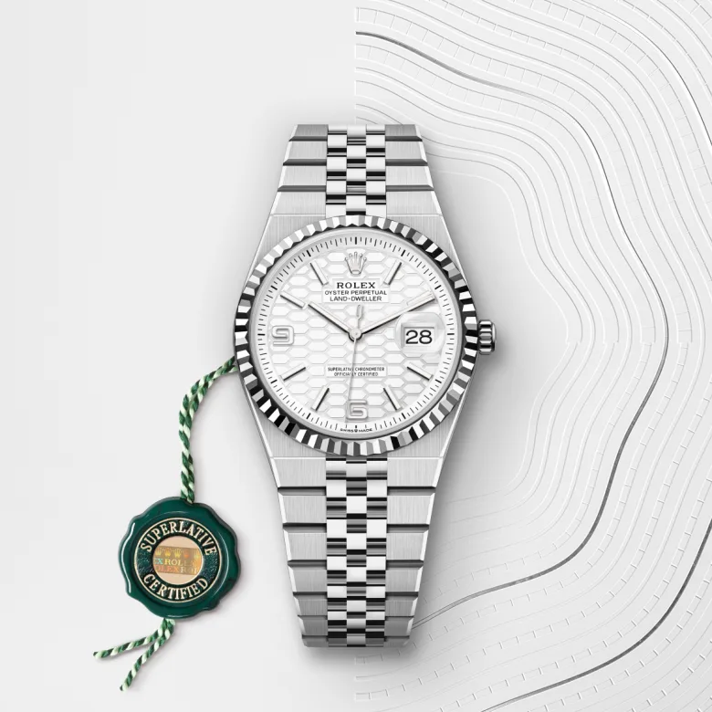 Rolex Land Dweller in White Rolesor - combination of Oystersteel and white gold, M127234-0001 - Siam Swiss