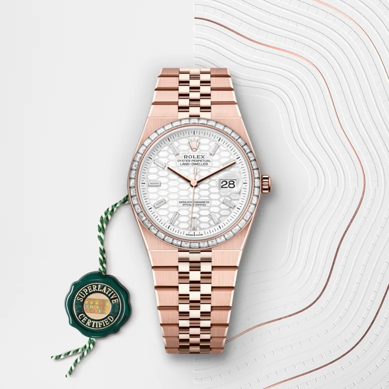Rolex Land Dweller in 18 ct Everose gold, M127285TBR-0002 - Siam Swiss