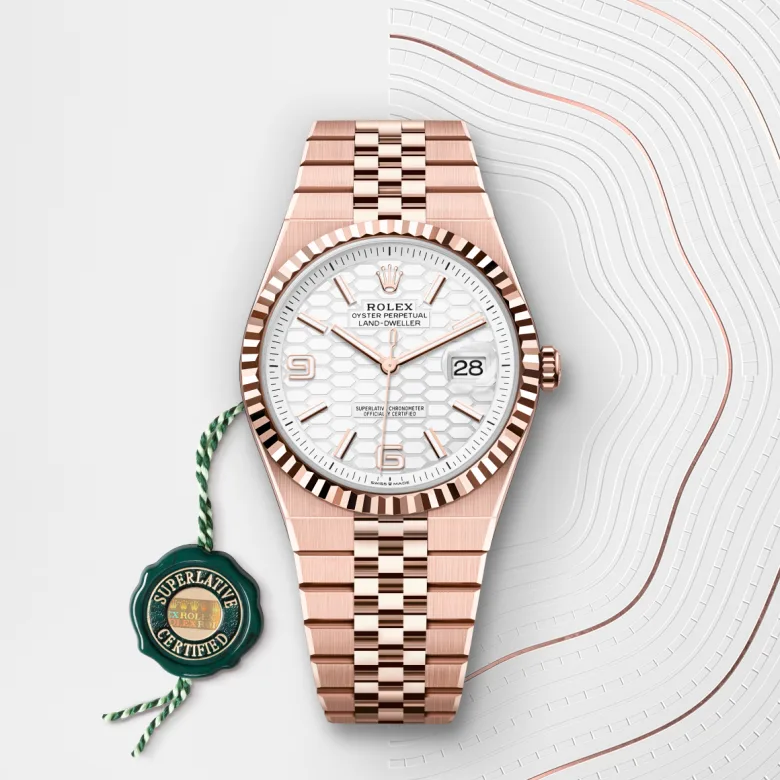 Rolex Land Dweller in 18 ct Everose gold, M127335-0001 - Siam Swiss