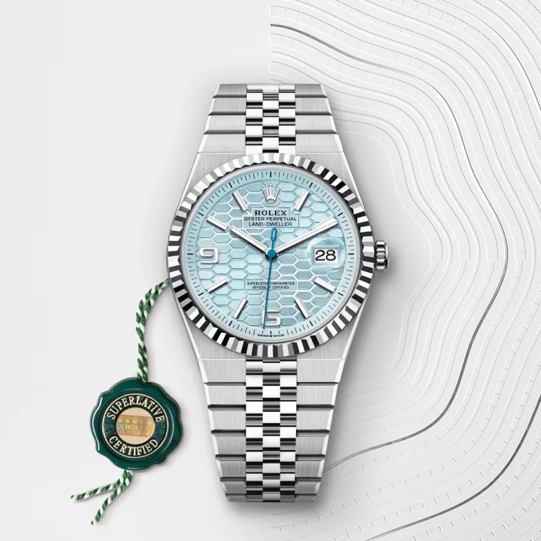 Rolex Land Dweller in Platinum, M127336-0001 - Siam Swiss