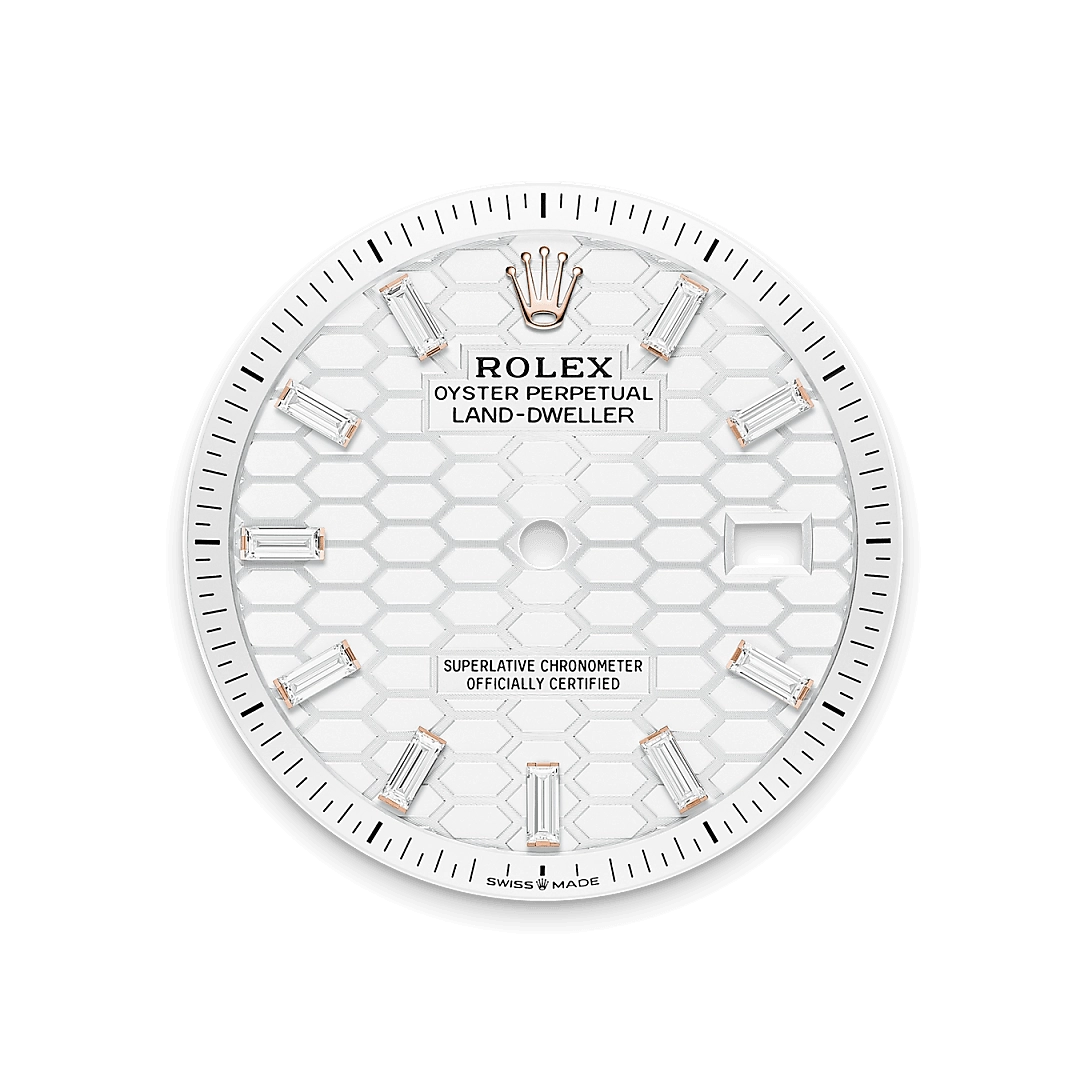 Rolex Land-Dweller 36 in 18 ct Everose gold, M127285TBR-0002
