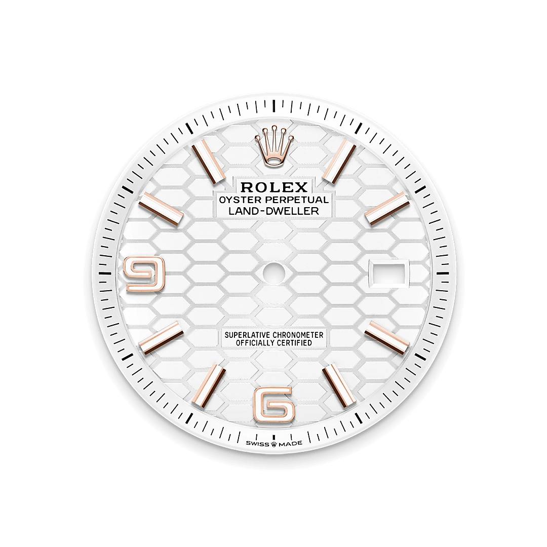 Rolex Land Dweller in Everose gold 18 กะรัต, M127335-0001 - Siam Swiss